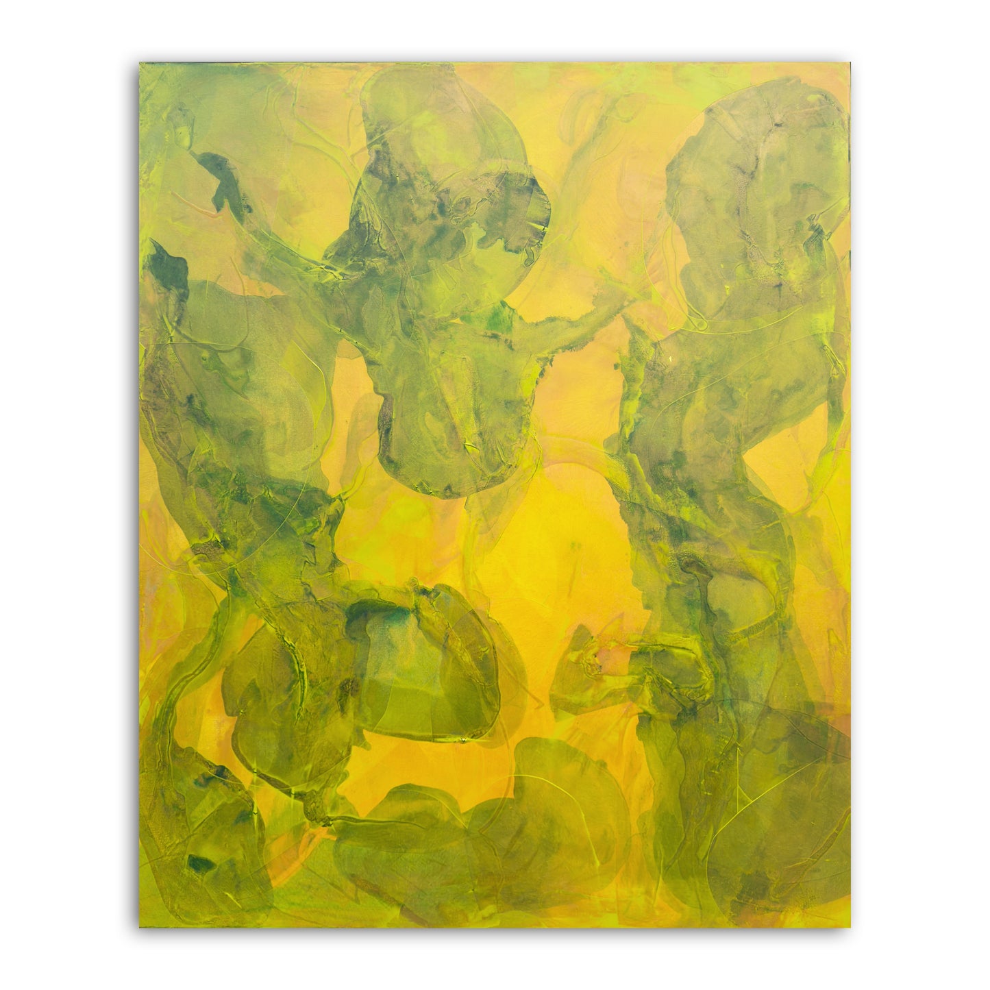 ABSORB 18
