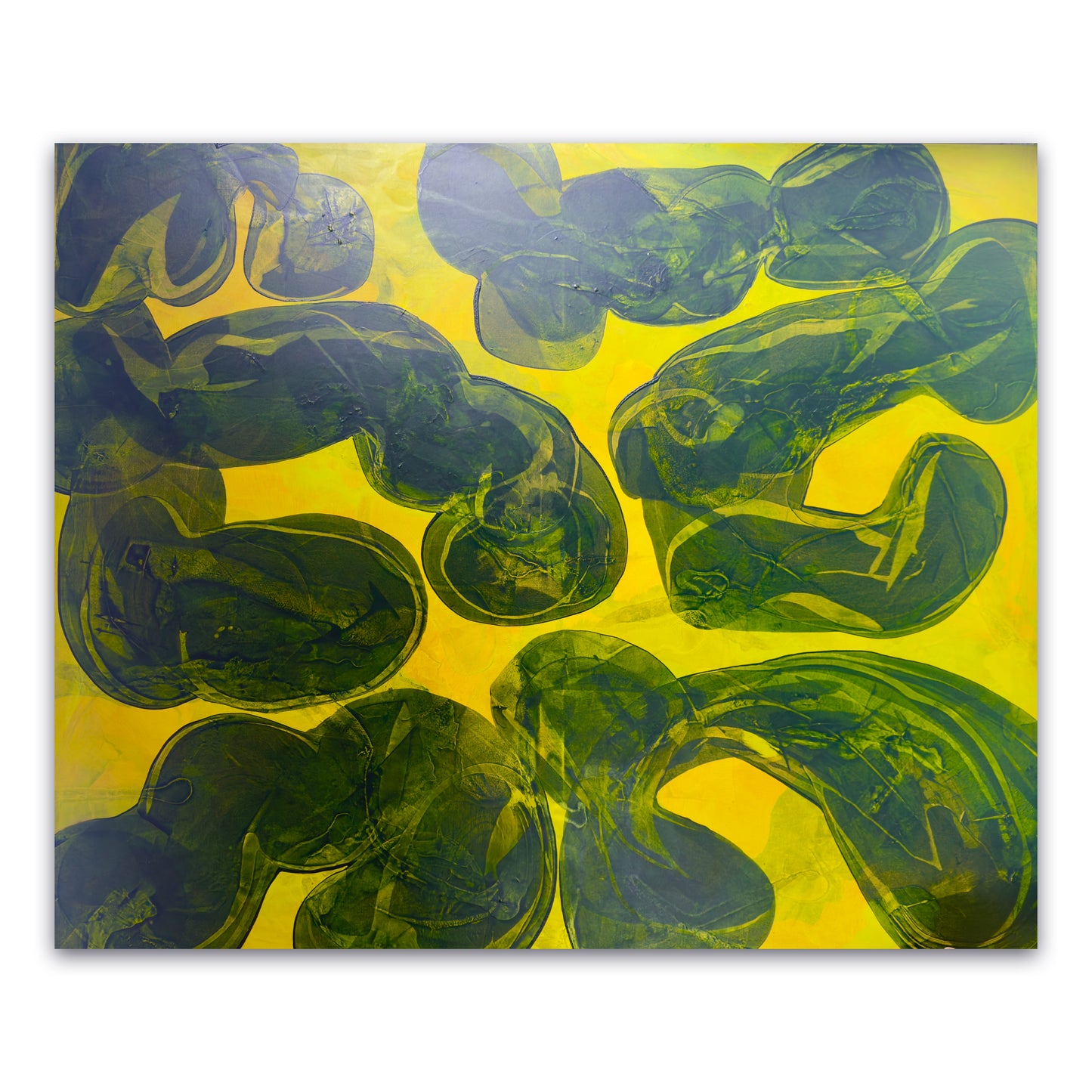 ABSORB 19