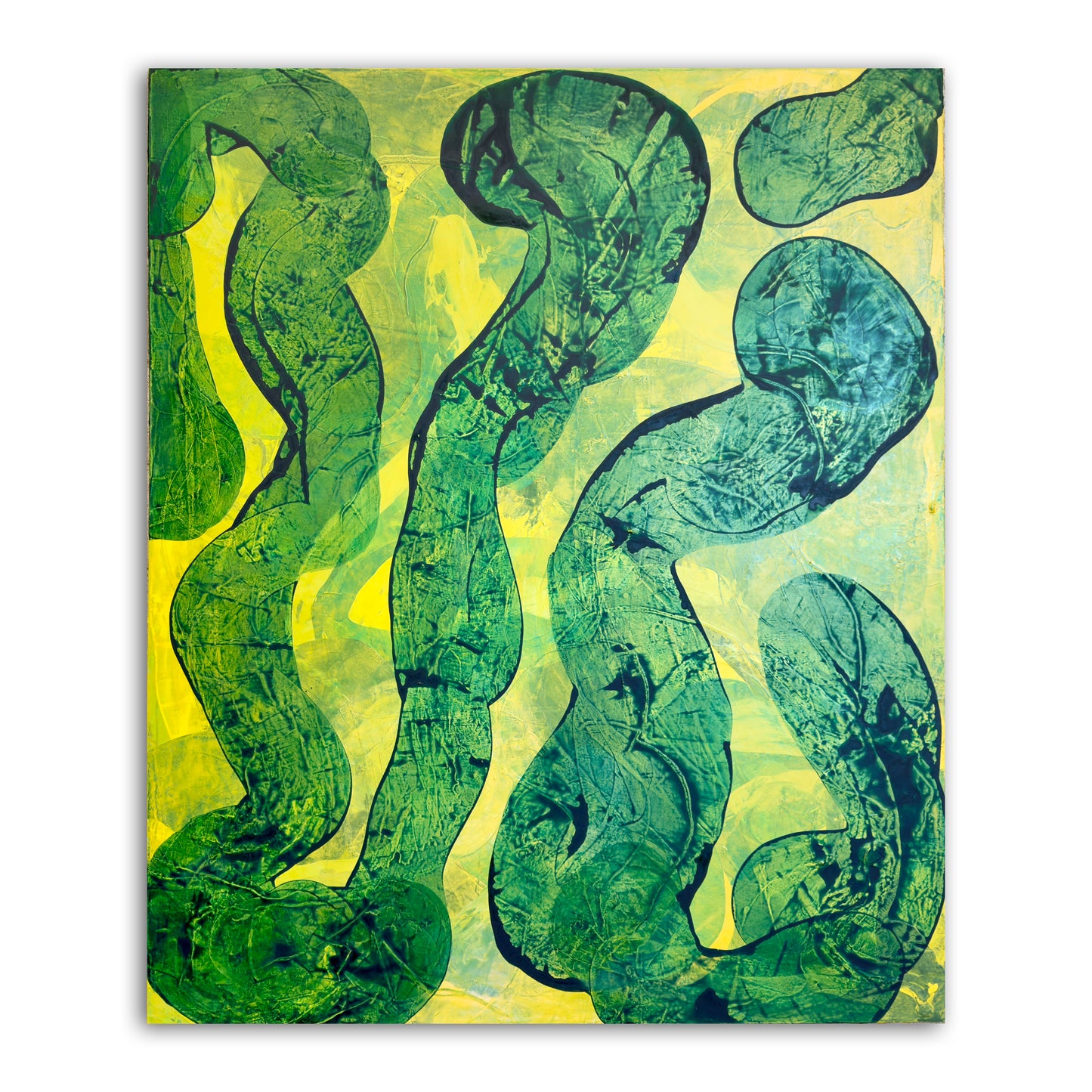 ABSORB2