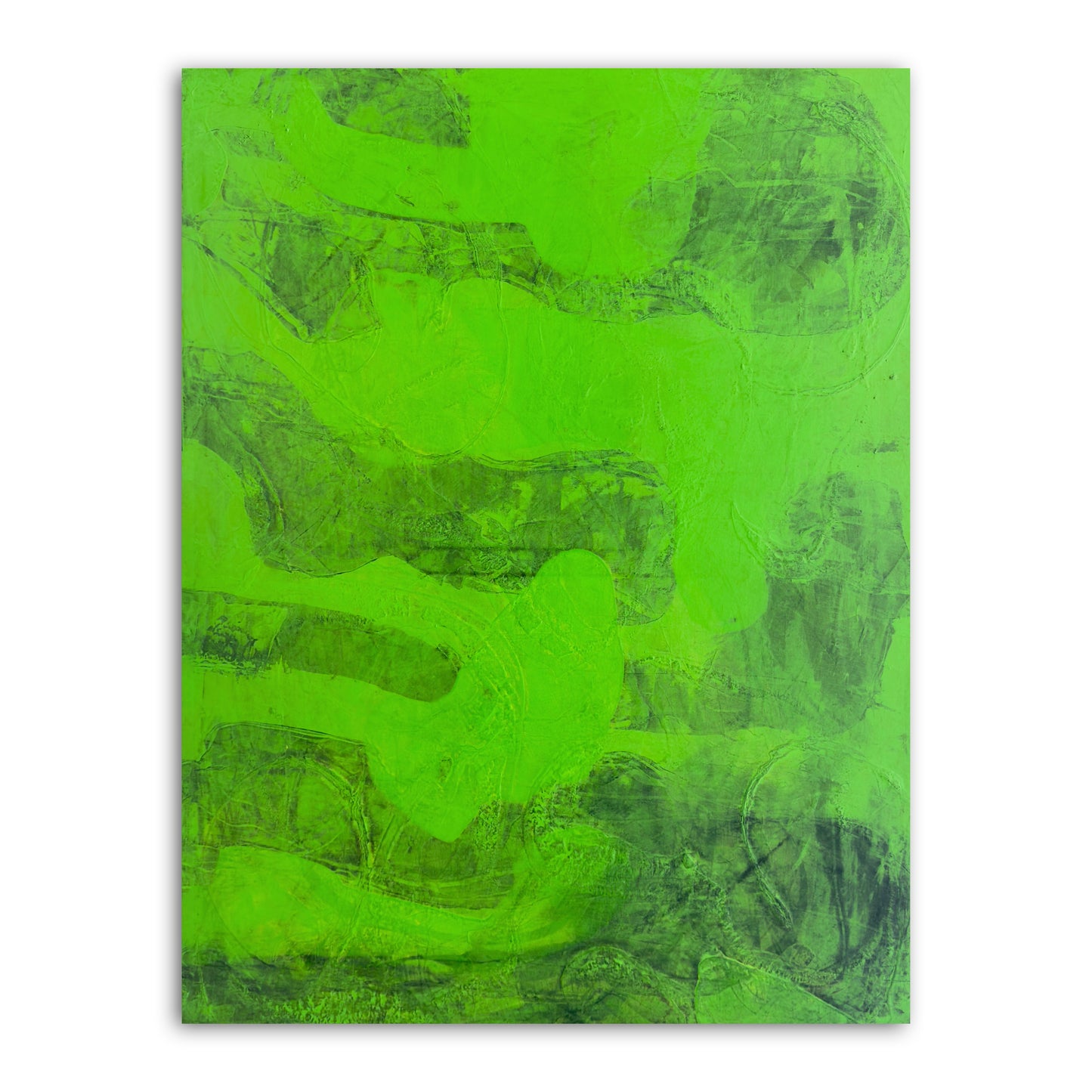 ABSORB 21