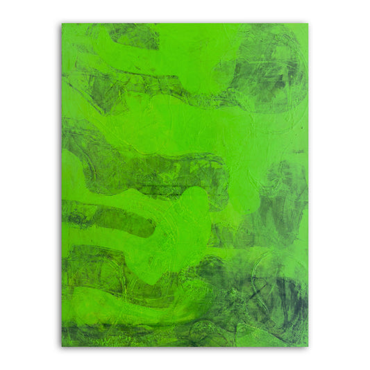ABSORB 21