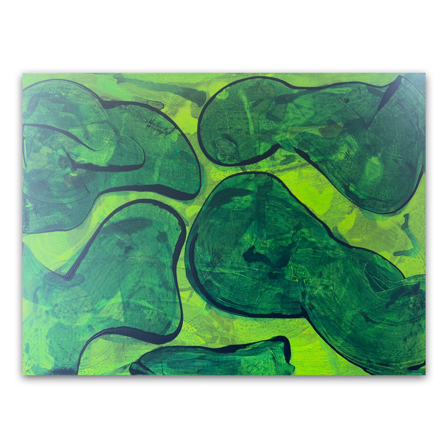 ABSORB 22