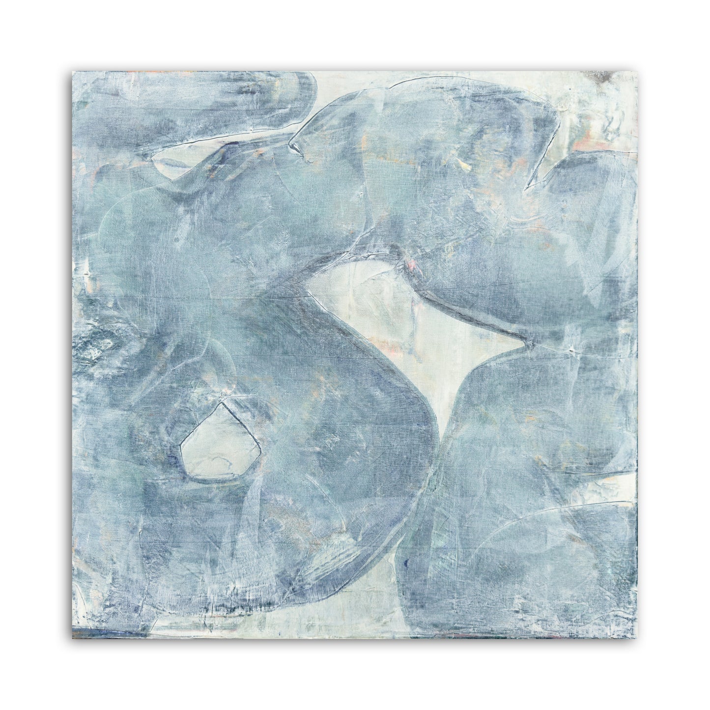 ABSORB 23