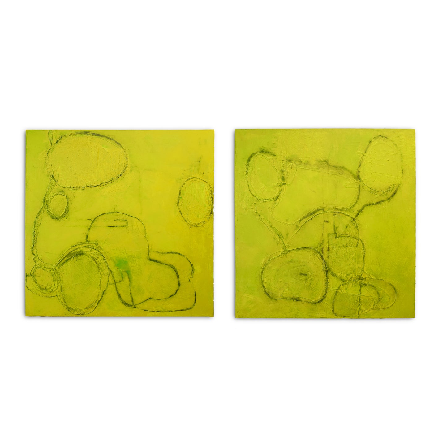 ARID 1 - 2