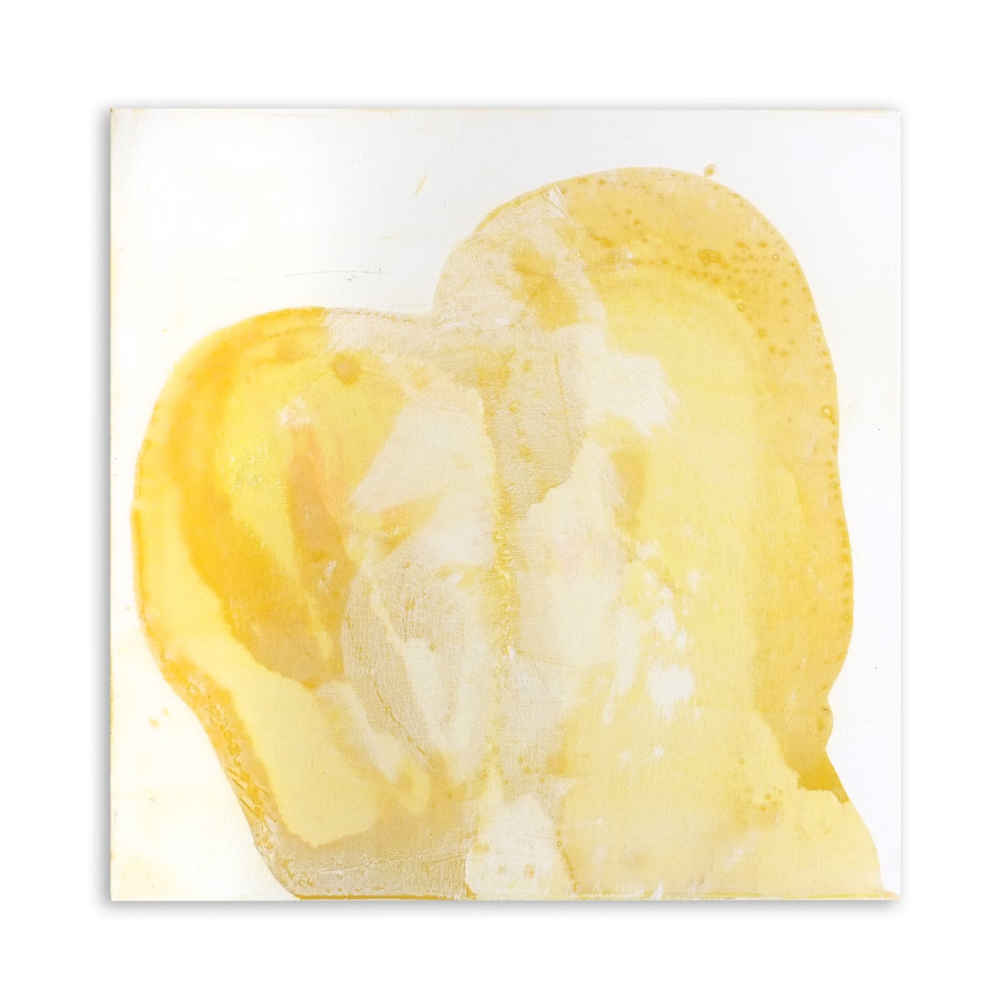 MELT 4