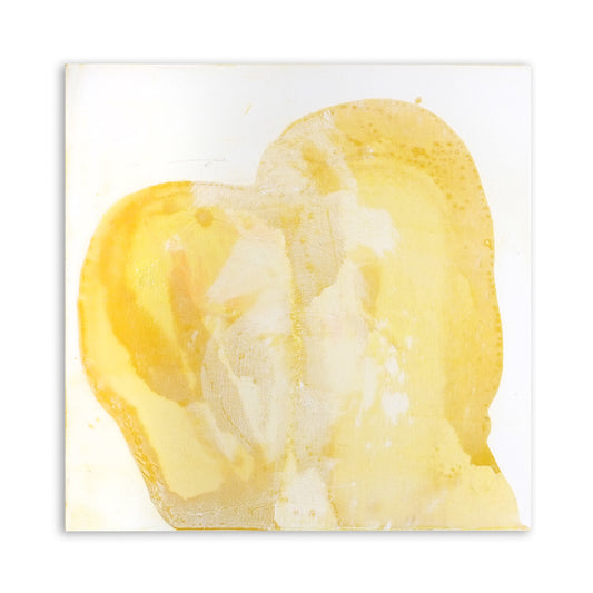 MELT 4